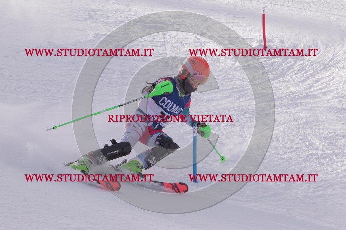 MAT_4175.JPG