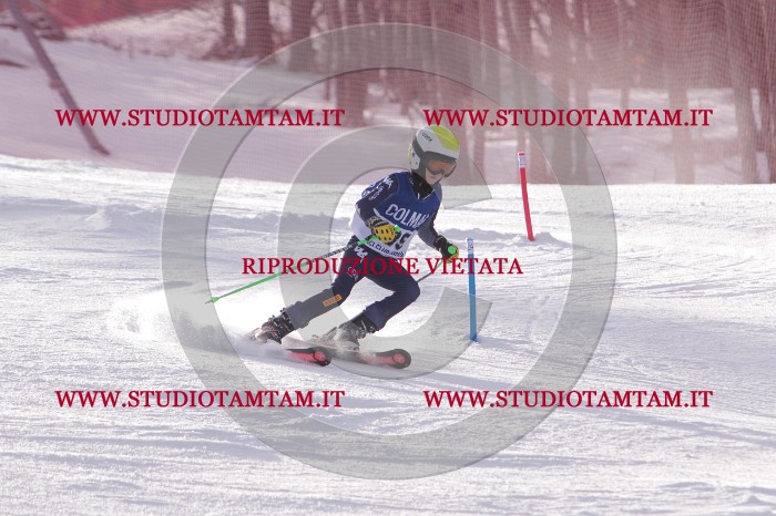 MAT_4353.JPG