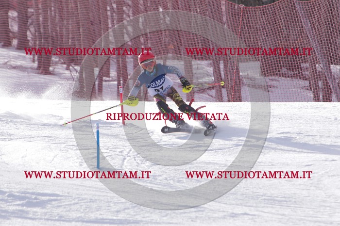 MAT_4431.JPG