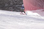 MAT_4368