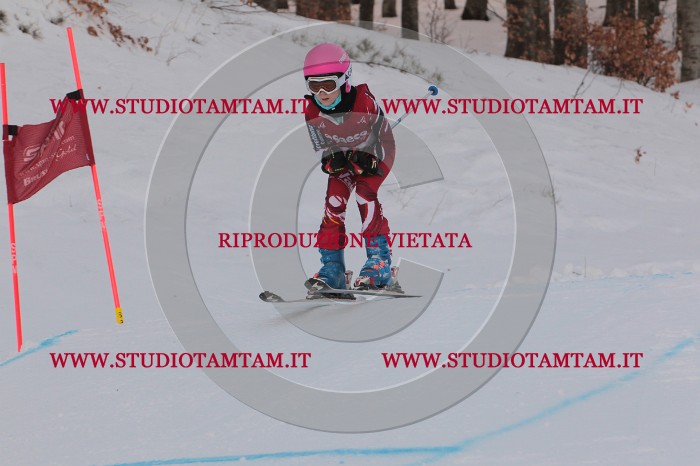 MAT_1513.JPG