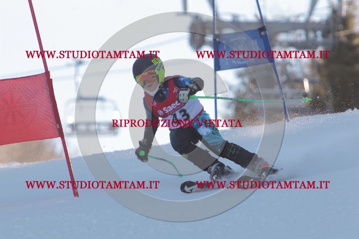 MAT_1821.JPG