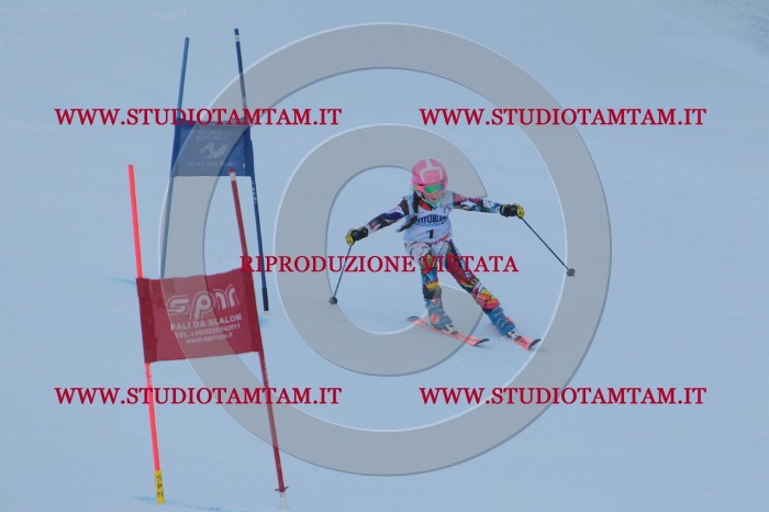 MAT_2357.JPG