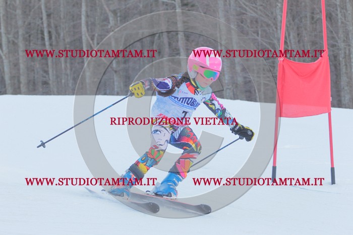 MAT_2363.JPG