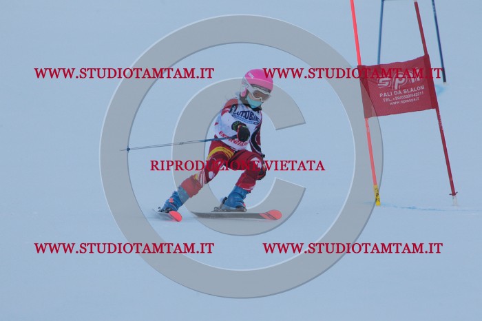 MAT_2381.JPG