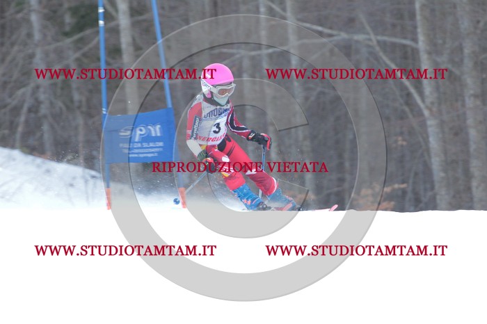 MAT_2382.JPG
