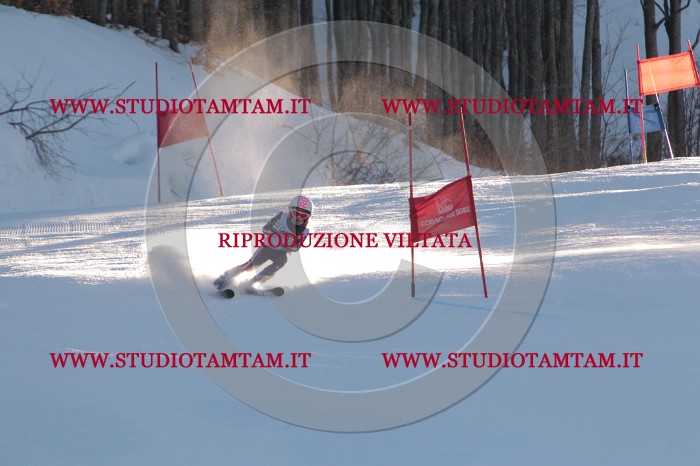 MAT_2386.JPG