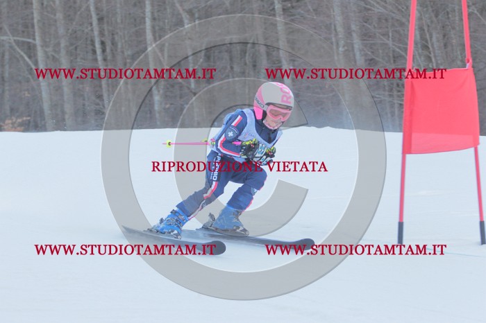 MAT_2394.JPG