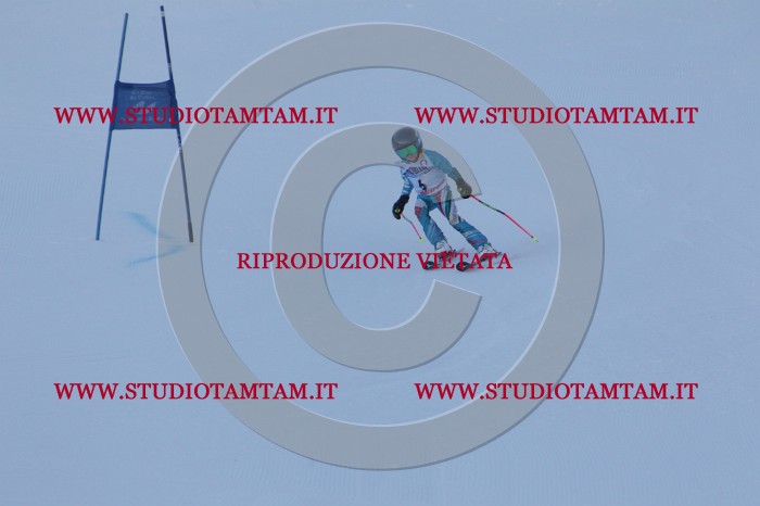 MAT_2407.JPG