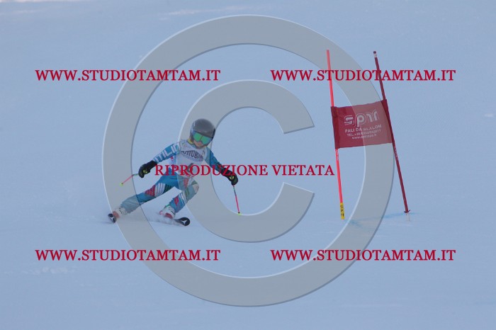MAT_2409.JPG