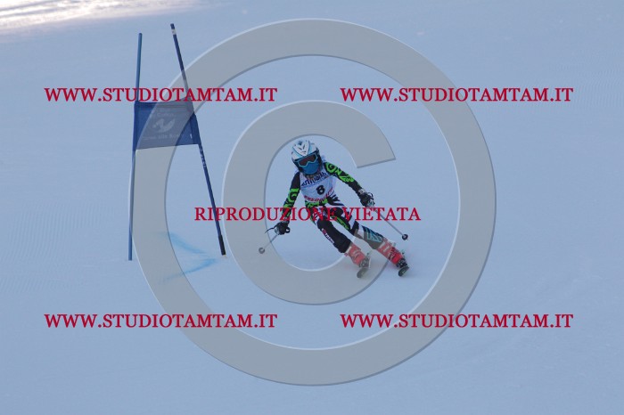 MAT_2429.JPG