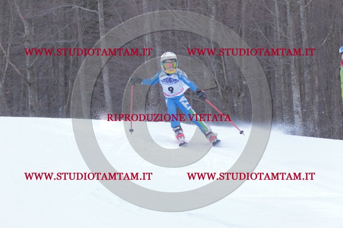MAT_2444.JPG