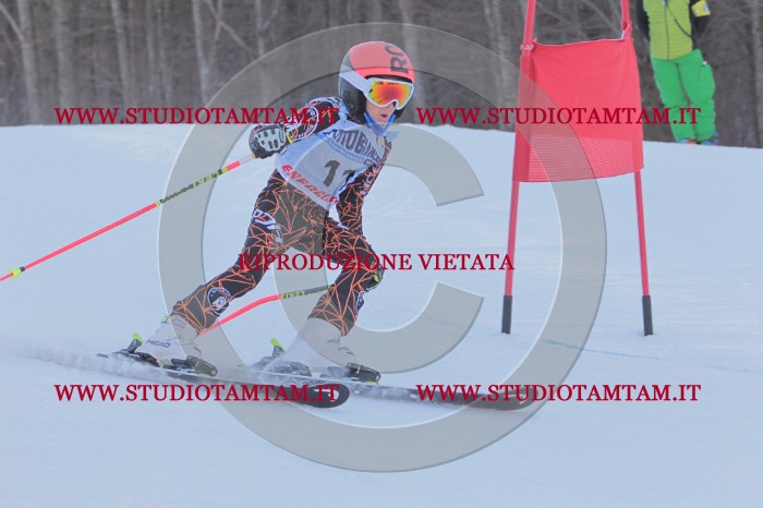 MAT_2466.JPG