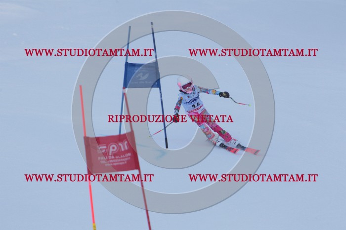 MAT_2482.JPG