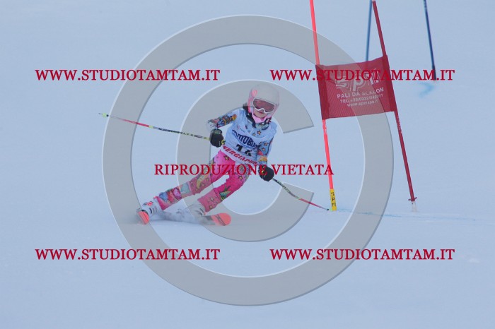 MAT_2485.JPG