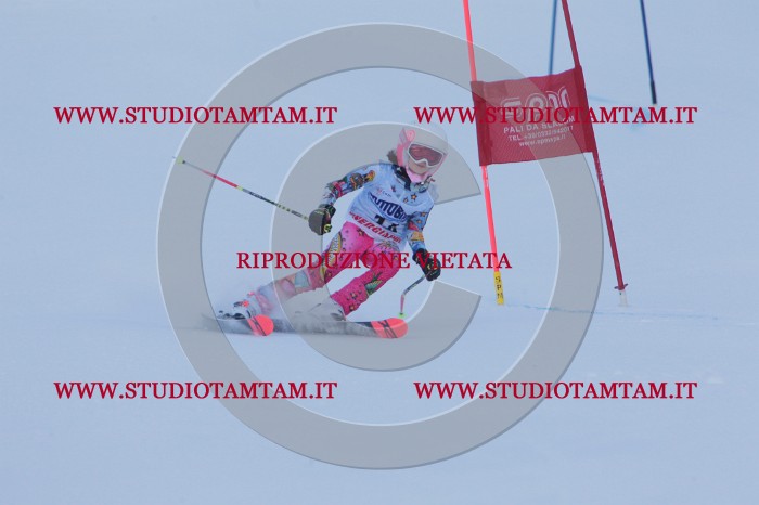 MAT_2486.JPG