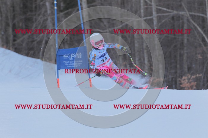 MAT_2487.JPG