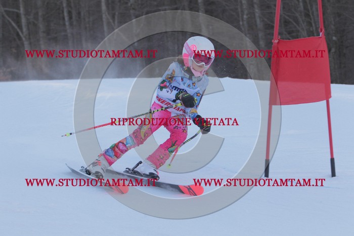 MAT_2490.JPG