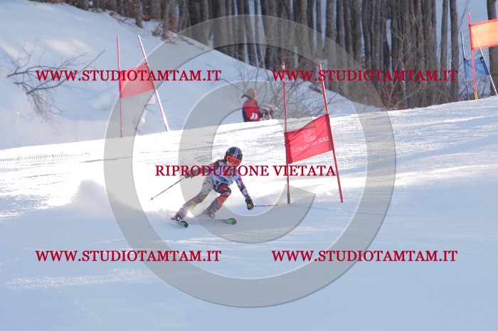 MAT_2493.JPG