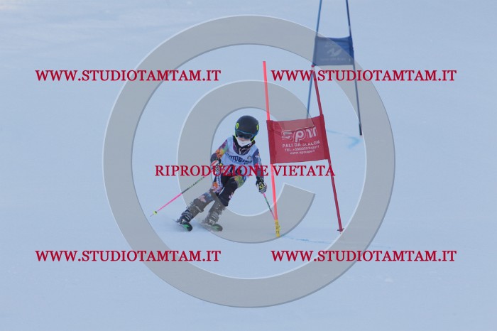 MAT_2506.JPG