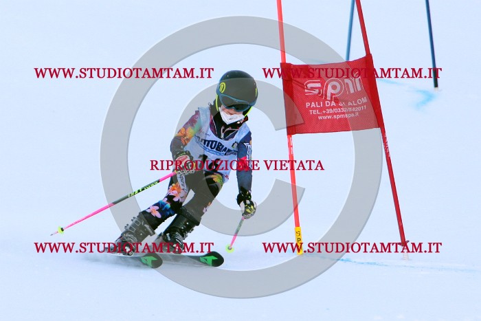 MAT_2508.JPG
