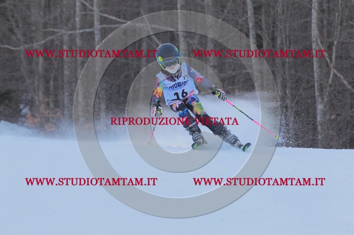 MAT_2510.JPG