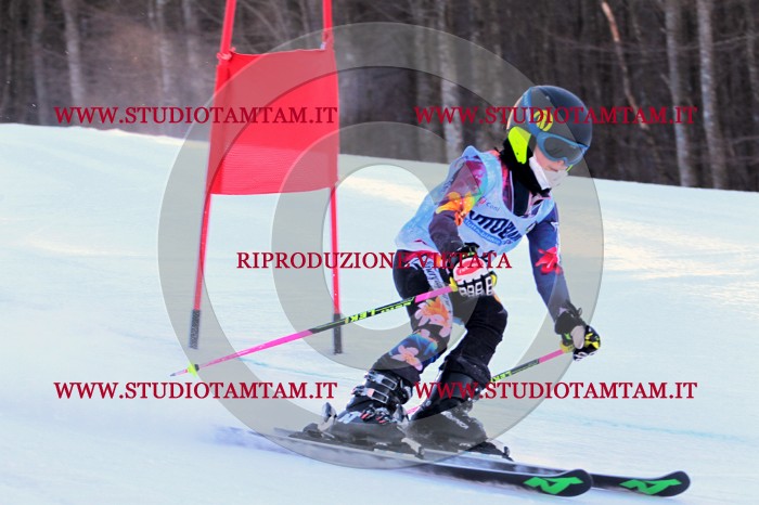 MAT_2513.JPG