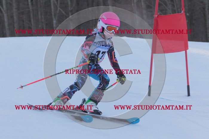 MAT_2524.JPG