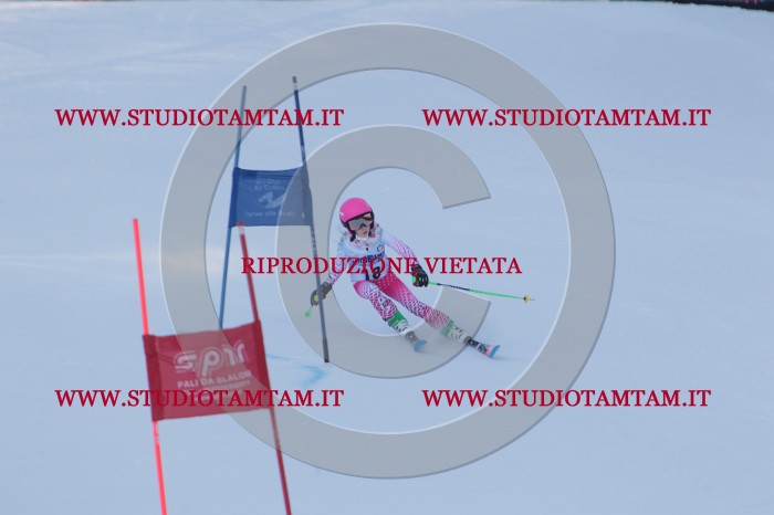 MAT_2528.JPG