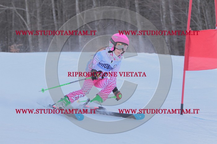 MAT_2535.JPG