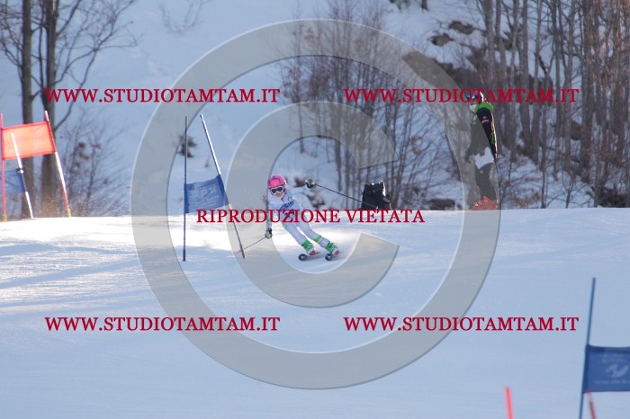 MAT_2537.JPG
