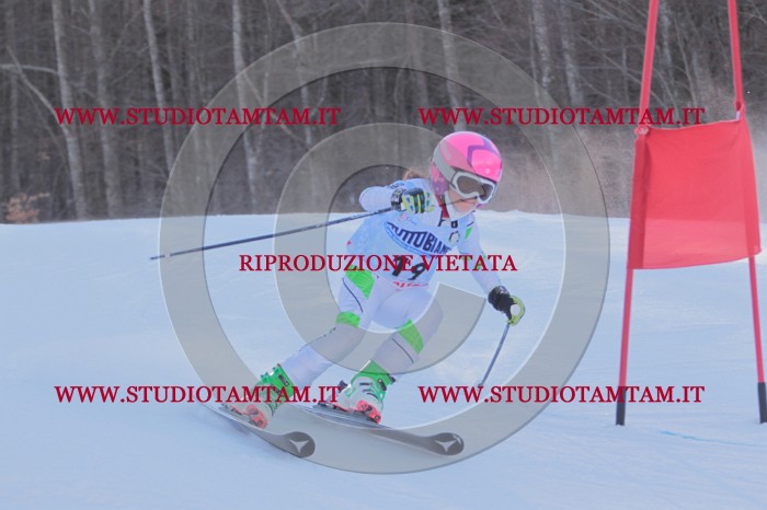 MAT_2547.JPG