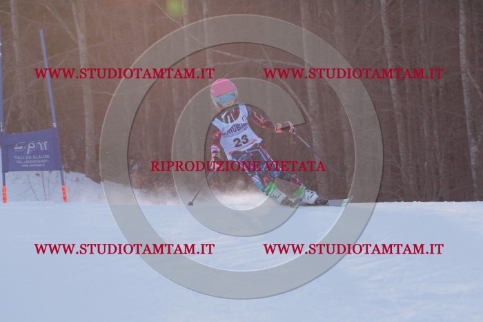MAT_2592.JPG
