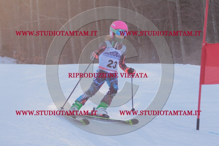 MAT_2594.JPG