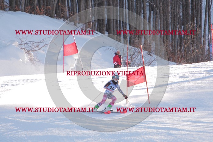 MAT_2597.JPG