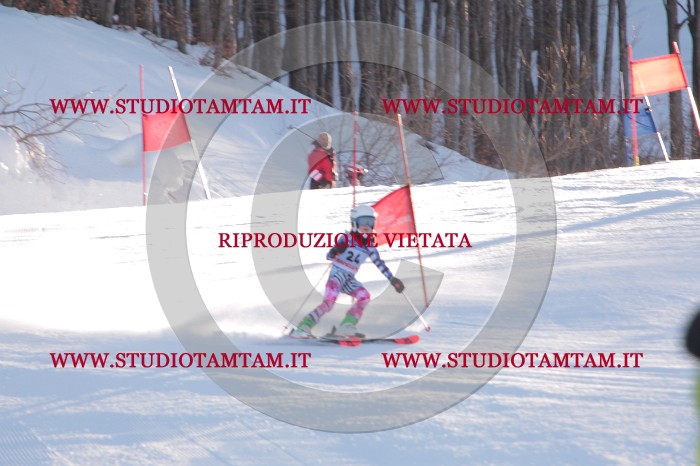 MAT_2598.JPG