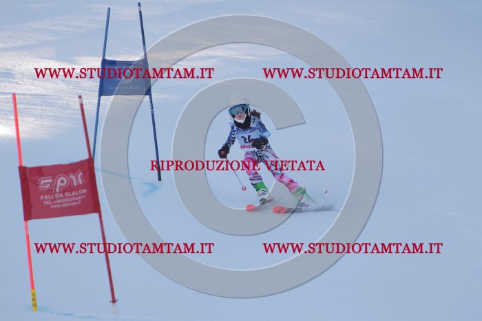 MAT_2601.JPG