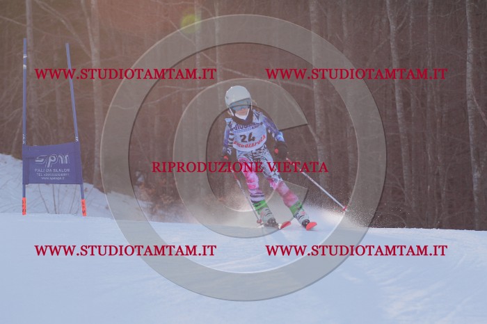 MAT_2607.JPG