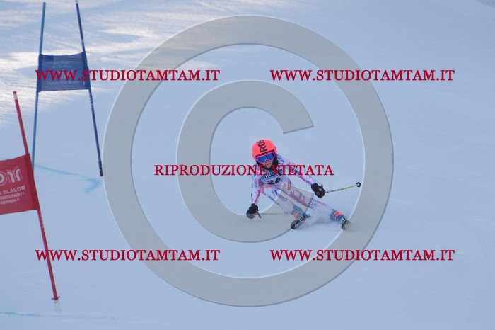 MAT_2616.JPG