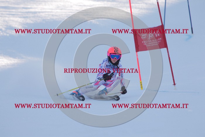 MAT_2618.JPG