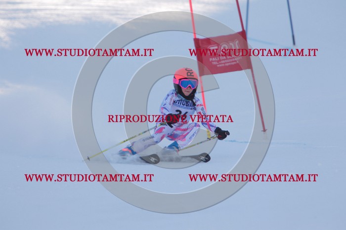 MAT_2619.JPG