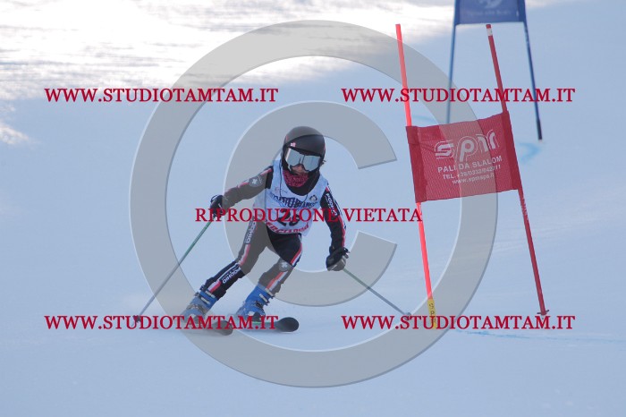 MAT_2641.JPG