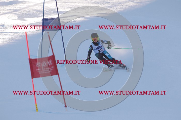 MAT_2652.JPG
