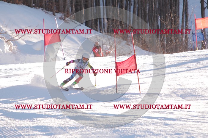 MAT_2659.JPG