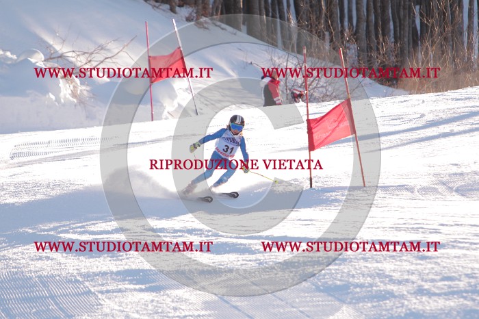 MAT_2674.JPG