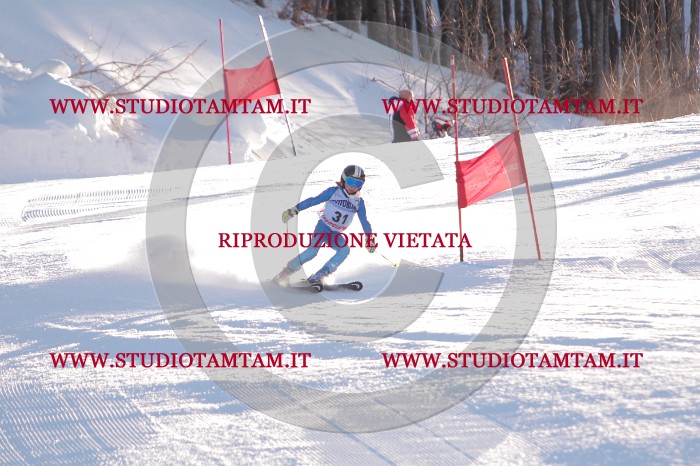 MAT_2675.JPG
