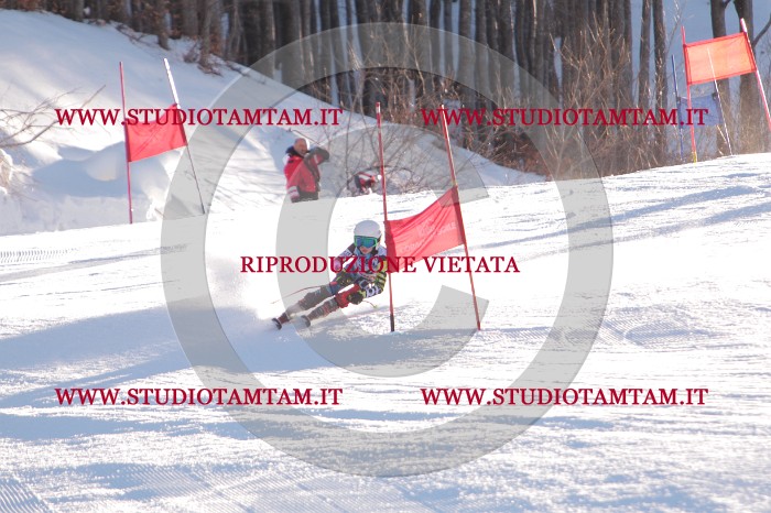 MAT_2711.JPG