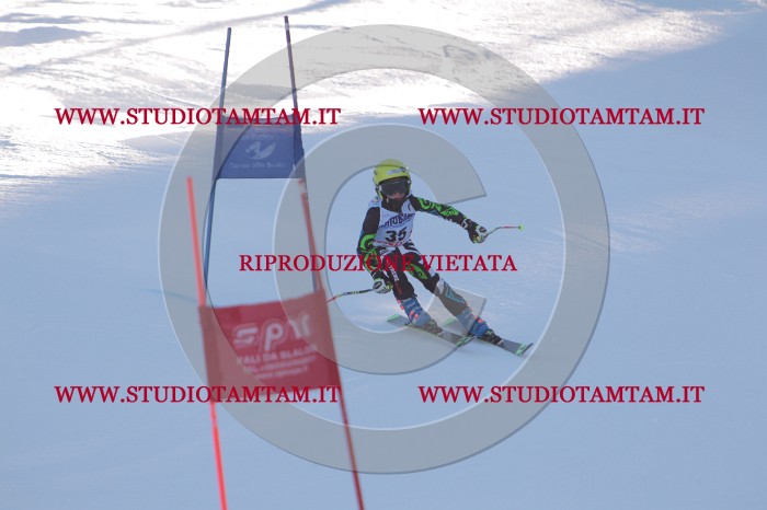 MAT_2729.JPG