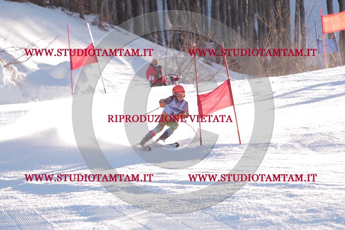 MAT_2739.JPG