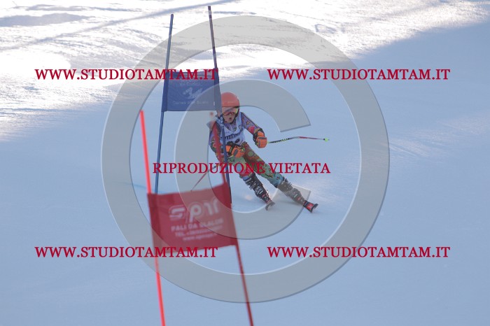 MAT_2741.JPG